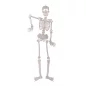 Preview: Decorative skeleton 90cm