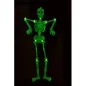 Preview: Decorative skeleton 90cm