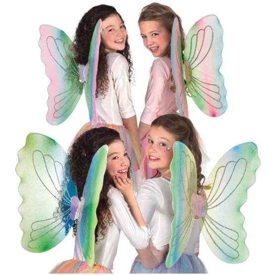 Wings charm assorted
