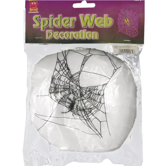 Spider web with 2 spiders